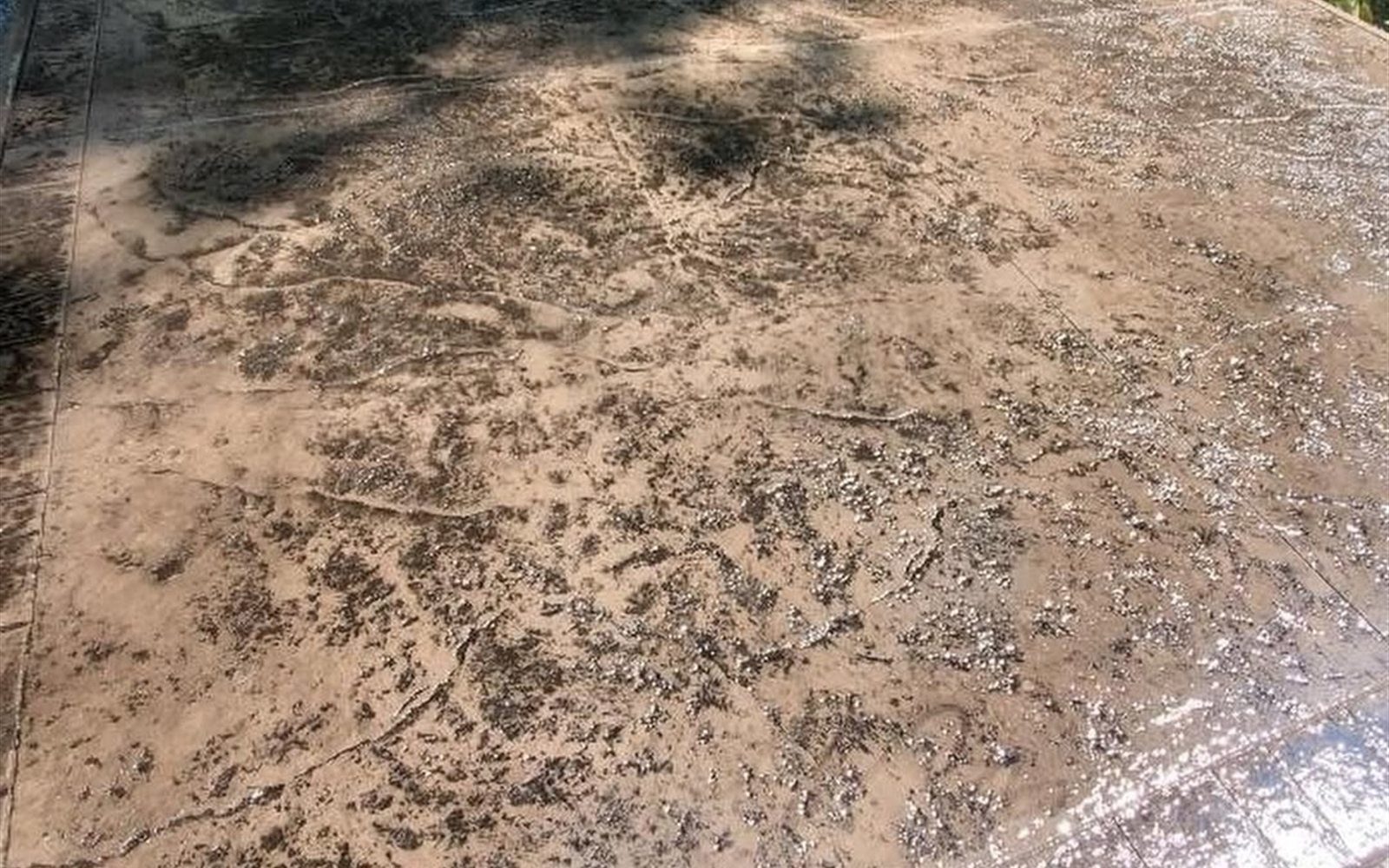 Prepared ground before concrete replacement